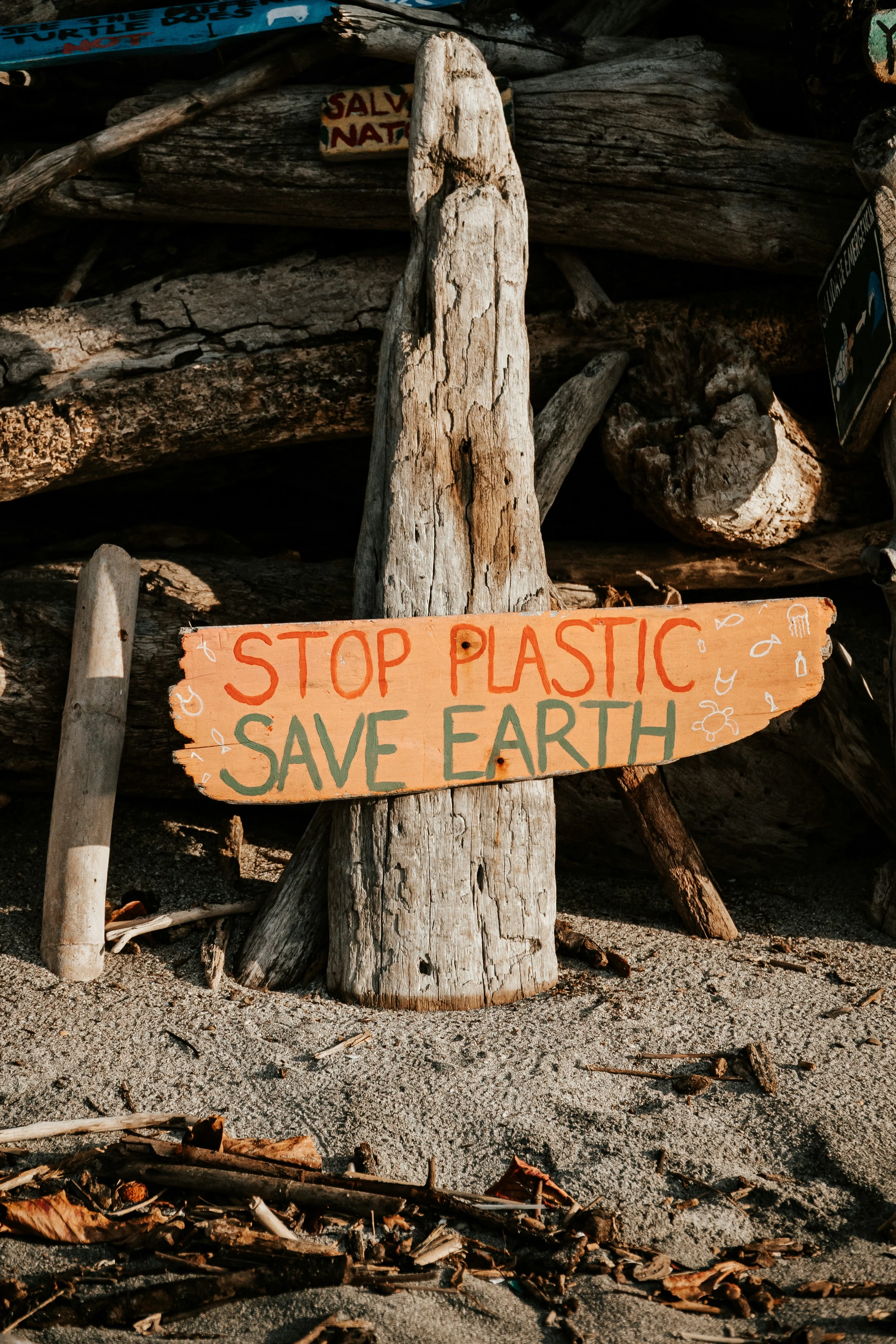 Understanding Sustainable Materials in Modern Design